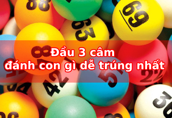 Đầu 3 câm đánh con gì dễ trúng nhất?